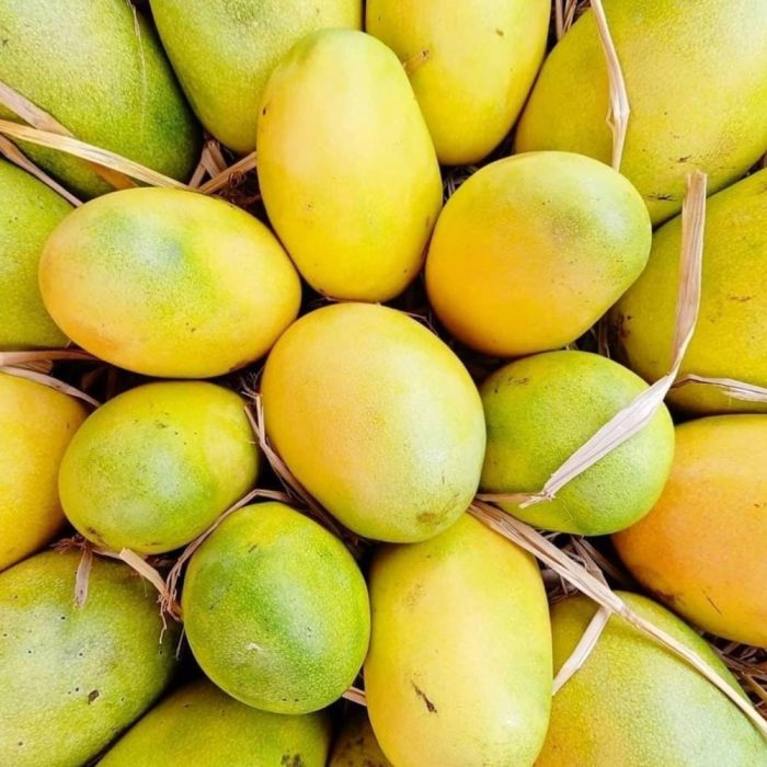 Cheruku Rasal Mango - Image 3