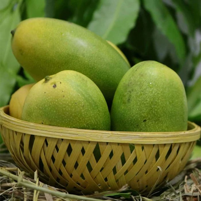 Cheruku Rasal Mango - Image 4