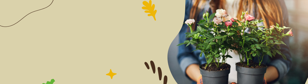 Flower & Other Plants