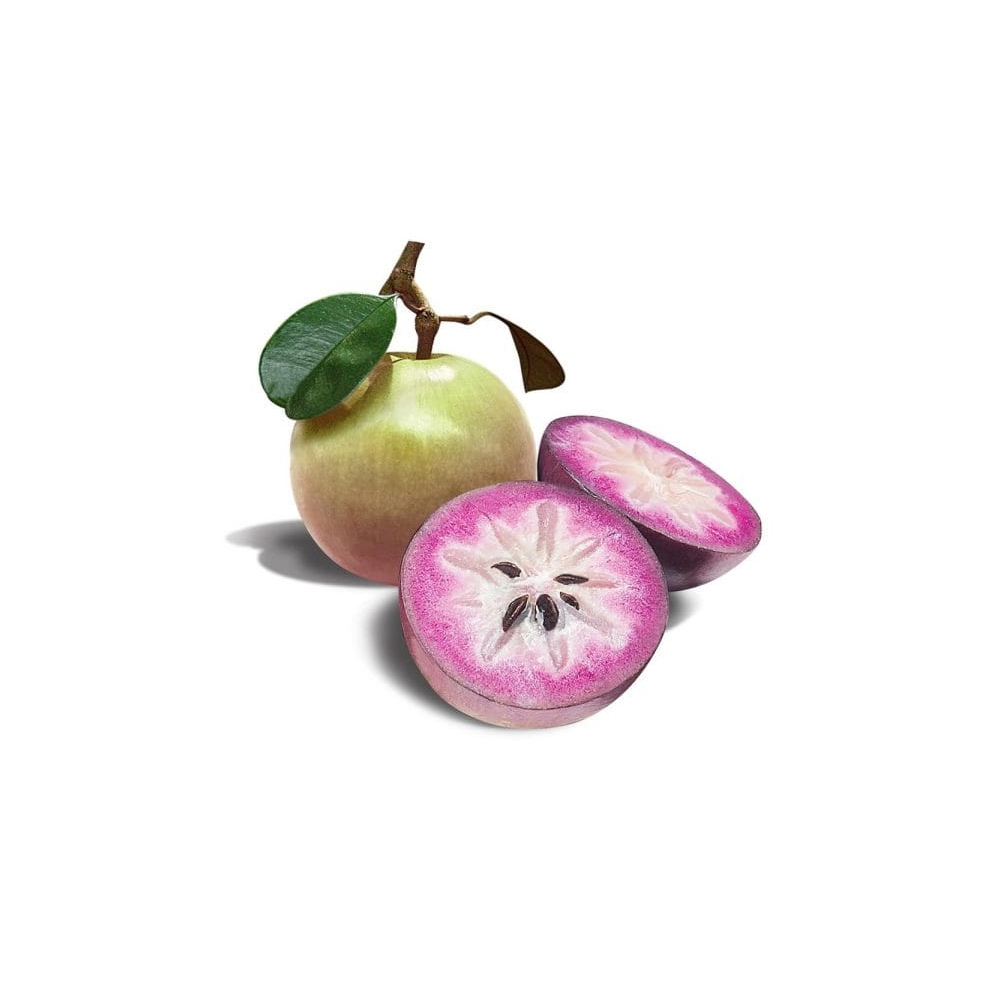 Milk fruit - Image 4