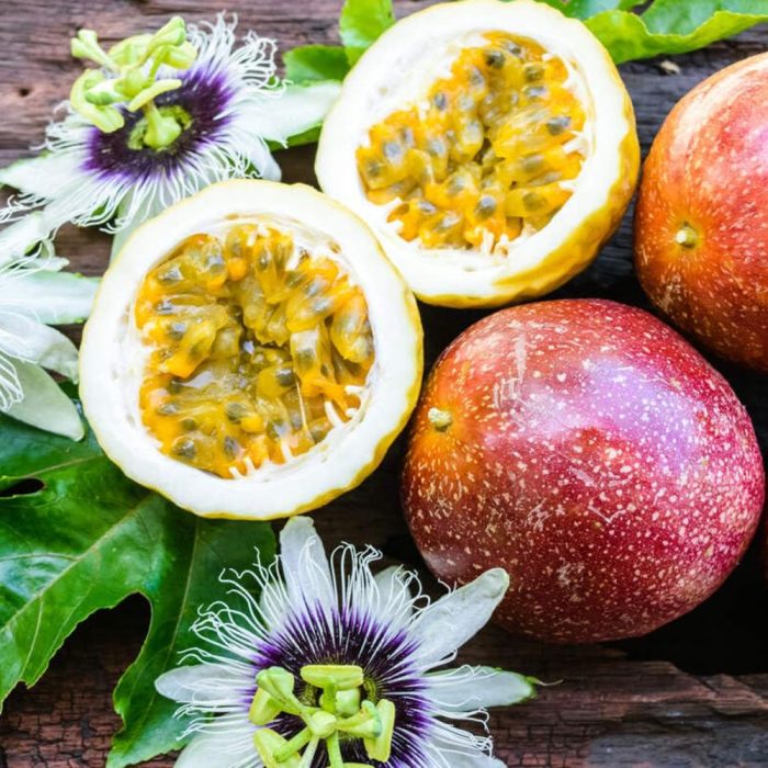 Passion Fruit Plant - Image 4