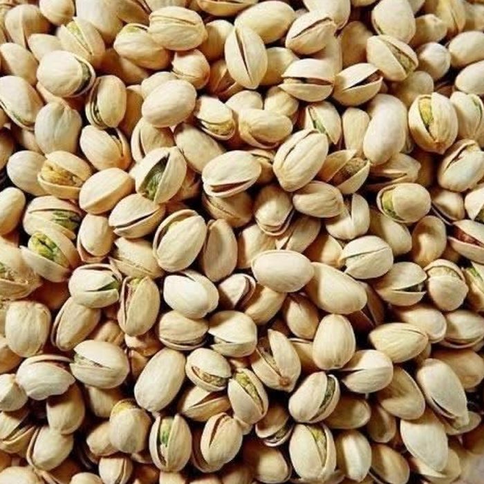 Pista Plant - Image 3