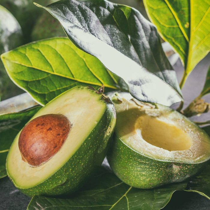 Avacado Plant / అవకాడో చెట్టు(Grafted) - Image 5