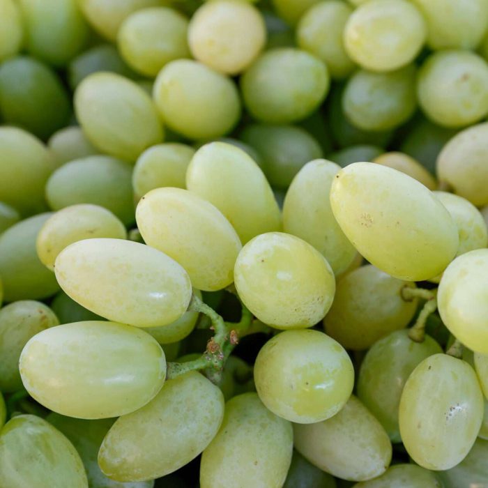 Grapes White / తేల్ల ద్రాక్ష - Image 3