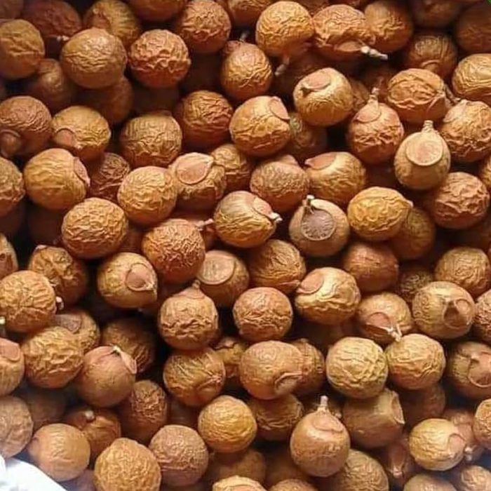 Soapnut ( Kunkudukai ) - Image 3
